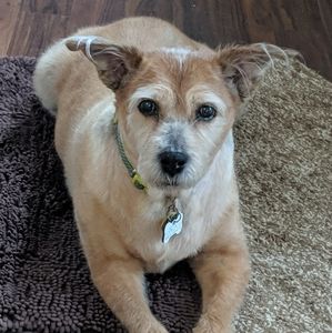 Meet your Posher, Angela